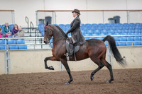 2019 Morgan Horse Show - Aug 30, 2019 - 27862
