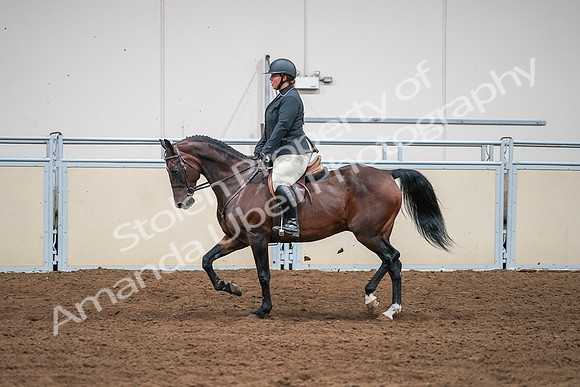 2020 - AB Morgan Horse - Sat, Sept 05 - 09341