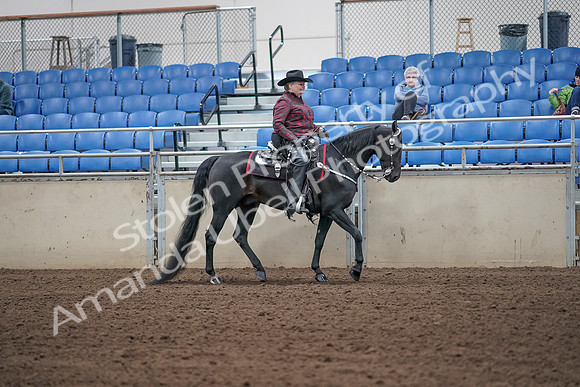 2019 Morgan Horse Show - Aug 31, 2019 - 10747