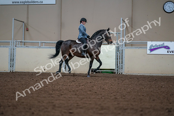 2019 Morgan Horse Show - Aug 30, 2019 - 18600