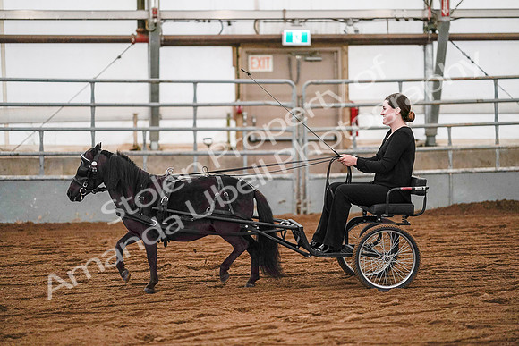 July 19, 2019 - 7033