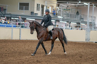 2020 - AB Morgan Horse - Sat, Sept 05 - 09297