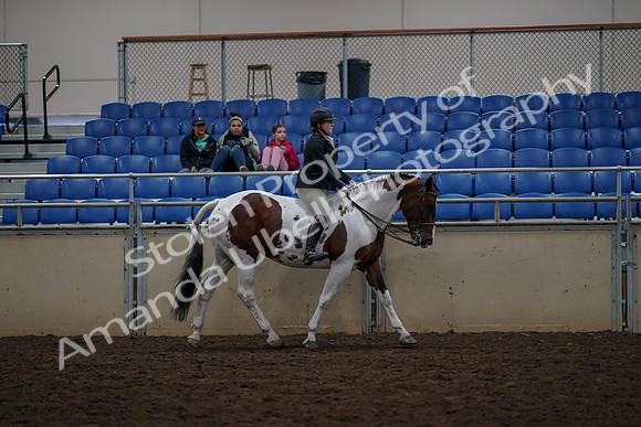 2019 Morgan Horse Show - Aug 30, 2019 - 31420