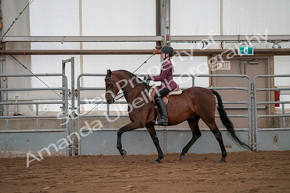 July 19, 2019 - 2598