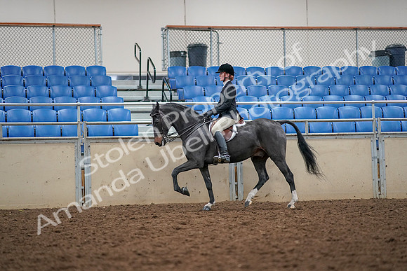 2019 Morgan Horse Show - Aug 30, 2019 - 23287