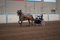 2019 Morgan Horse Show - Sept 01, 2019 - 05927