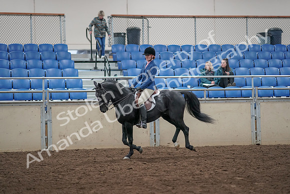 2019 Morgan Horse Show - Aug 31, 2019 - 07346