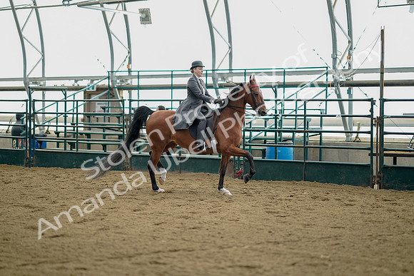 July 21, 2019 - 01706
