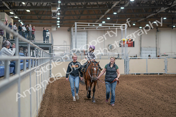 2020 - AB Morgan Horse - Sat, Sept 05 - 10072