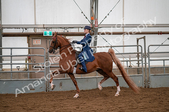 July 19, 2019 - 10379