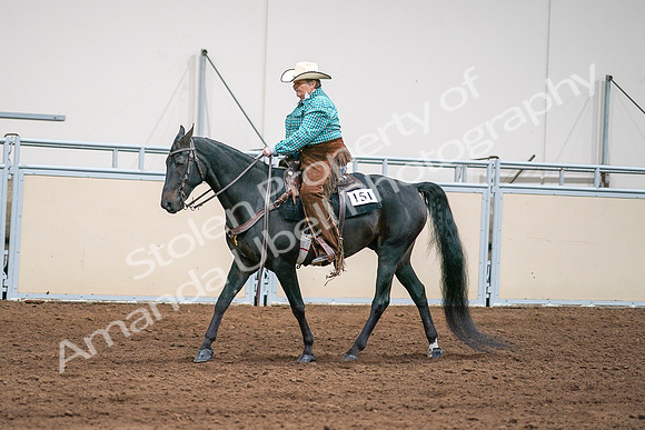 2020 - AB Morgan Horse - Sun, Sept 06 - 01591