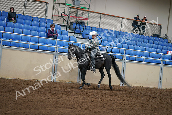 2020 - AB Morgan Horse - Fri, Sept 04 - 03547