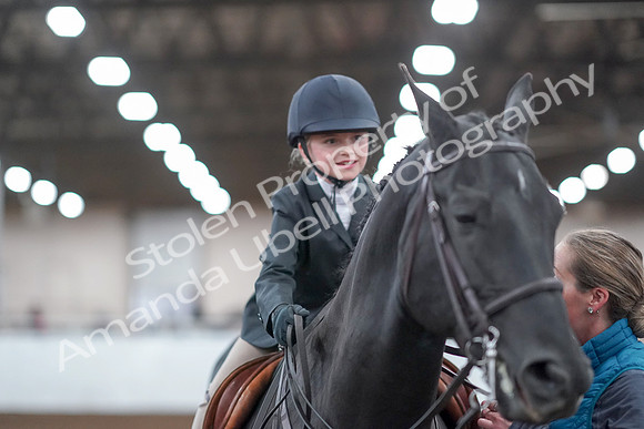 2019 Morgan Horse Show - Aug 31, 2019 - 19748