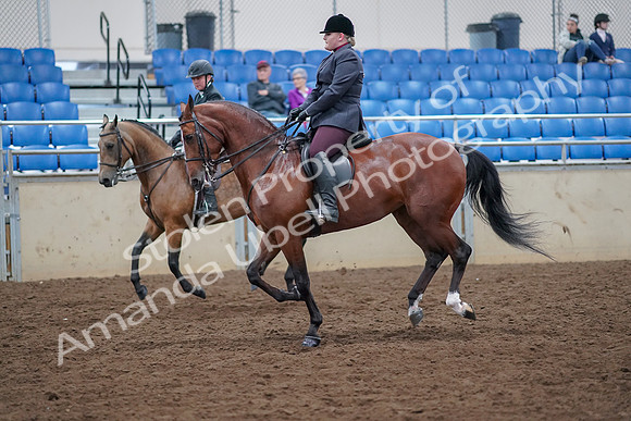 2019 Morgan Horse Show - Aug 30, 2019 - 20528