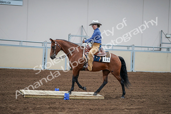 2020 - AB Morgan Horse - Fri, Sept 04 - 00171