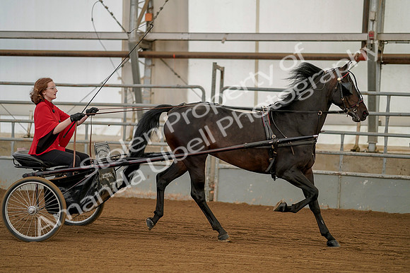 July 20, 2019 - 00248