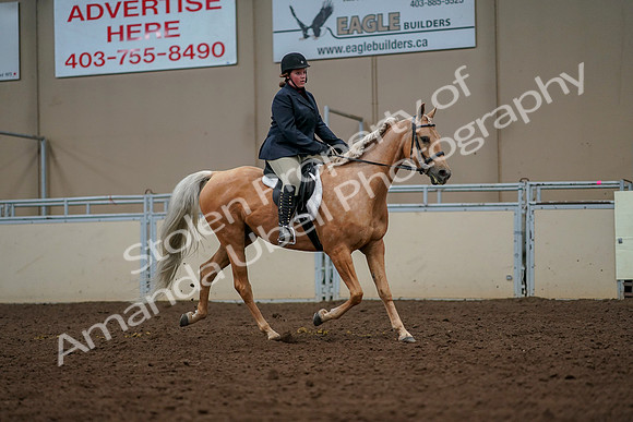 2019 Morgan Horse Show - Aug 30, 2019 - 22612
