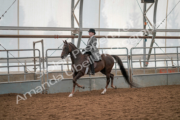 July 19, 2019 - 12870