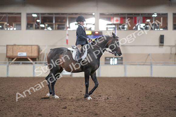 2019 Morgan Horse Show - Aug 31, 2019 - 19664