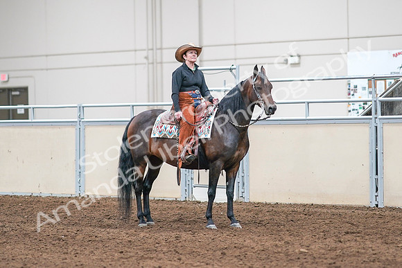 2020 - AB Morgan Horse - Sun, Sept 06 - 01653