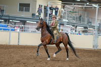 2020 - AB Morgan Horse - Sat, Sept 05 - 05282