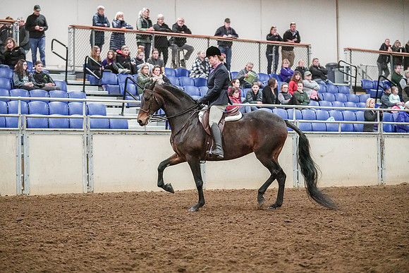 Spring Fling - Saturday - April 20, 2019  -  04580