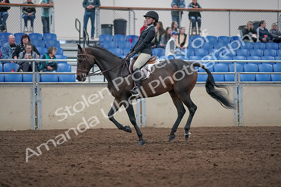 2019 Morgan Horse Show - Aug 31, 2019 - 20647