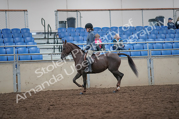 2019 Morgan Horse Show - Aug 31, 2019 - 16621