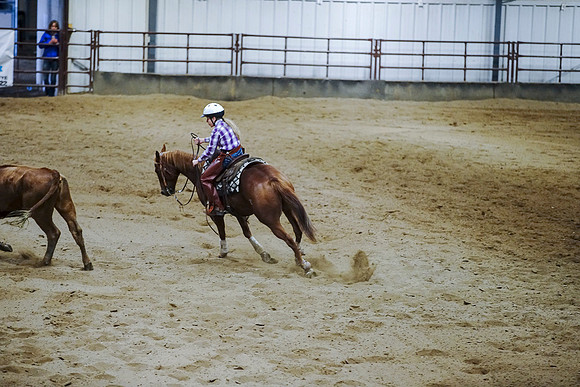 DSC09233