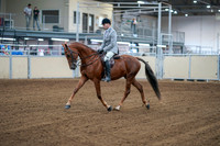 2020 - AB Morgan Horse - Fri, Sept 04 - 01466