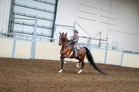 2020 - AB Morgan Horse - Sat, Sept 05 - 12076
