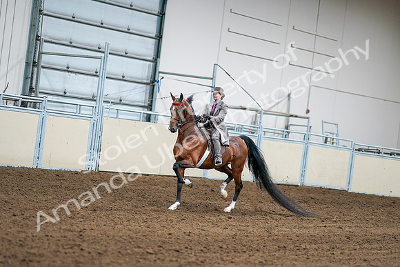 2020 - AB Morgan Horse - Sat, Sept 05 - 12076