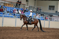 2020 - AB Morgan Horse - Sun, Sept 06 - 07461