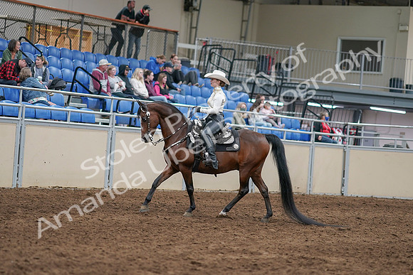 2020 - AB Morgan Horse - Sun, Sept 06 - 07461