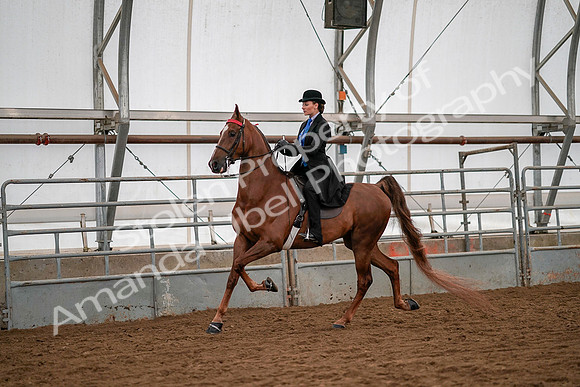 July 19, 2019 - 10591
