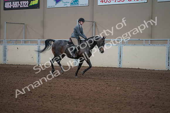 2019 Morgan Horse Show - Sept 01, 2019 - 11108