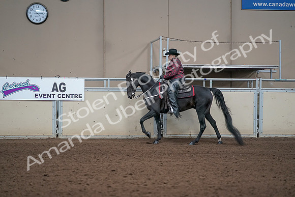 2019 Morgan Horse Show - Aug 31, 2019 - 10617