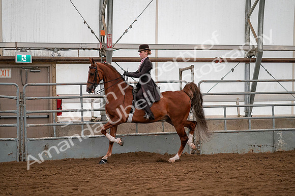 July 19, 2019 - 10345