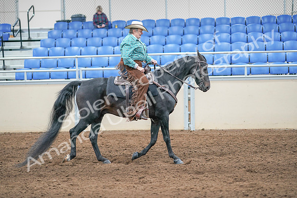 2020 - AB Morgan Horse - Sun, Sept 06 - 01639