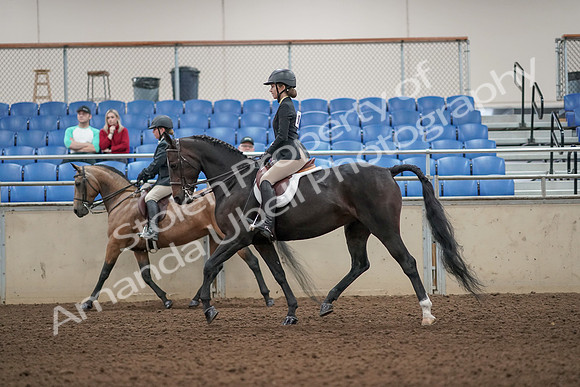 2019 Morgan Horse Show - Aug 31, 2019 - 04858