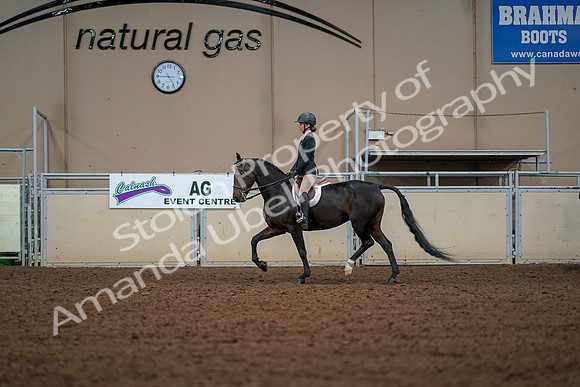 2019 Morgan Horse Show - Aug 30, 2019 - 23251