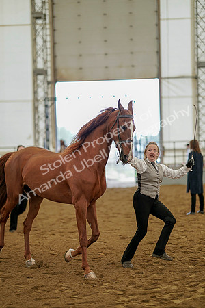 July 19, 2019 - 1104