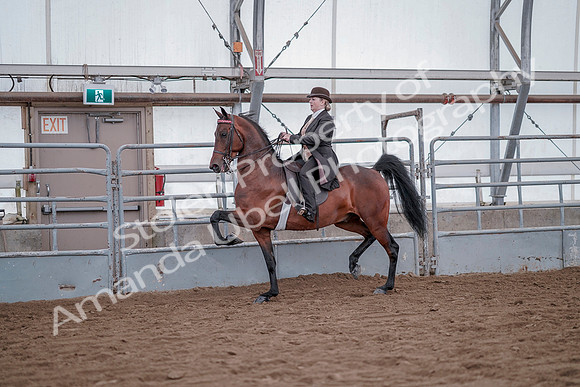 July 20, 2019 - 13795