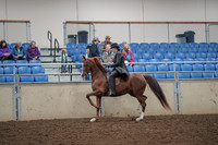 2019 Morgan Horse Show - Aug 30, 2019 - 26496