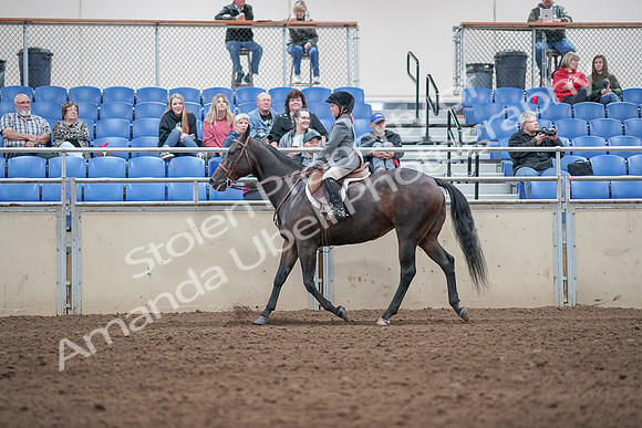 2019 Morgan Horse Show - Aug 31, 2019 - 19462