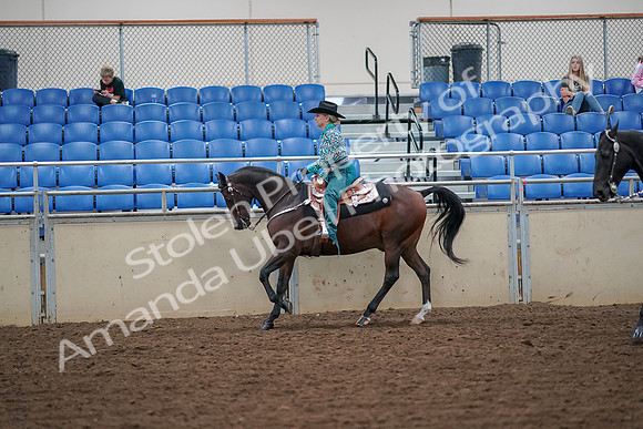 2019 Morgan Horse Show - Aug 30, 2019 - 16885