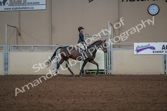 2019 Morgan Horse Show - Aug 31, 2019 - 05162