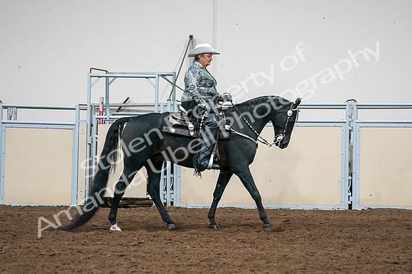 2020 - AB Morgan Horse - Fri, Sept 04 - 03531