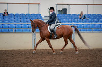 2019 Morgan Horse Show - Aug 30, 2019 - 16011