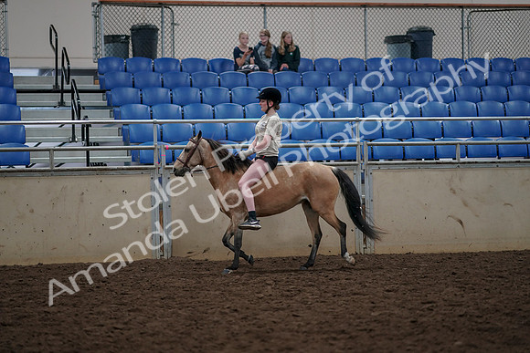 2019 Morgan Horse Show - Aug 30, 2019 - 31066